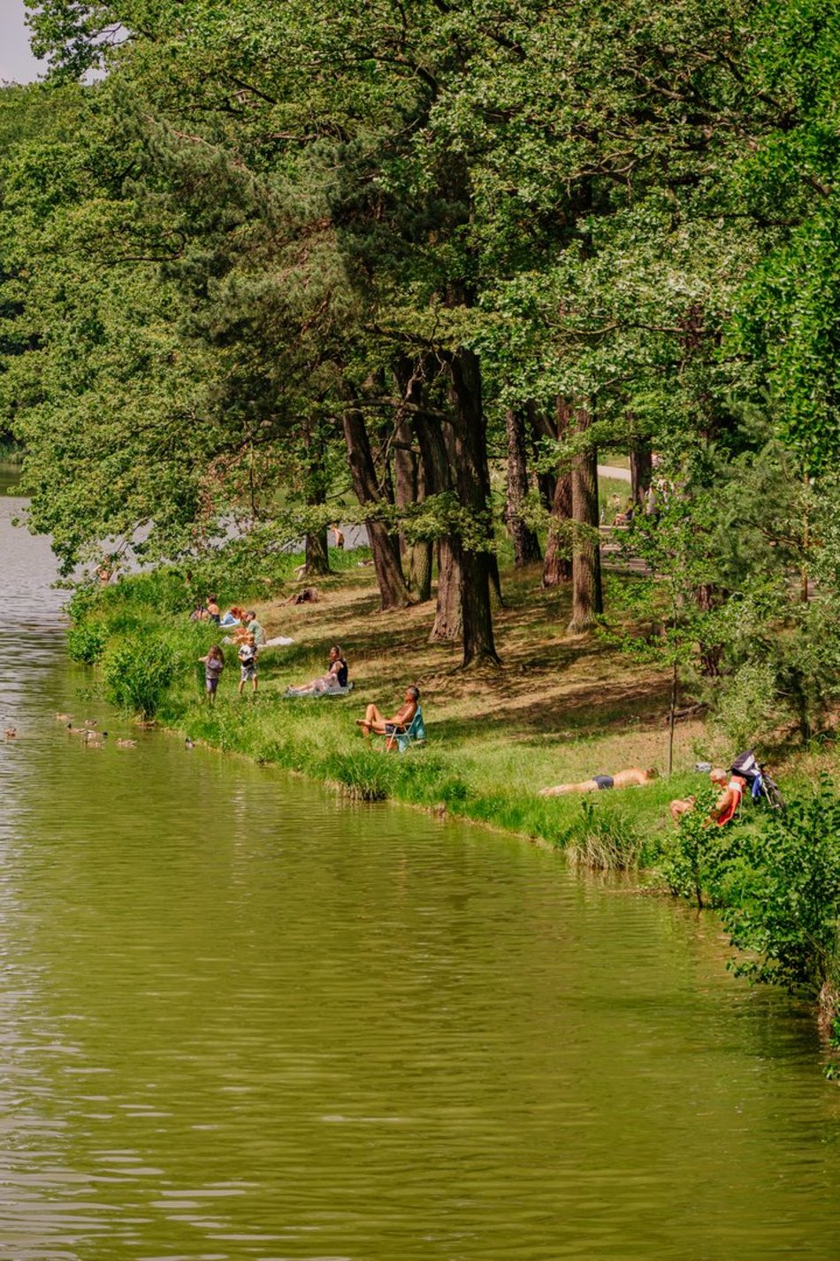 Łódź. Arturówek w Łodzi tętni życiem. Tak łodzianie powitali pierwszy dzień lata!