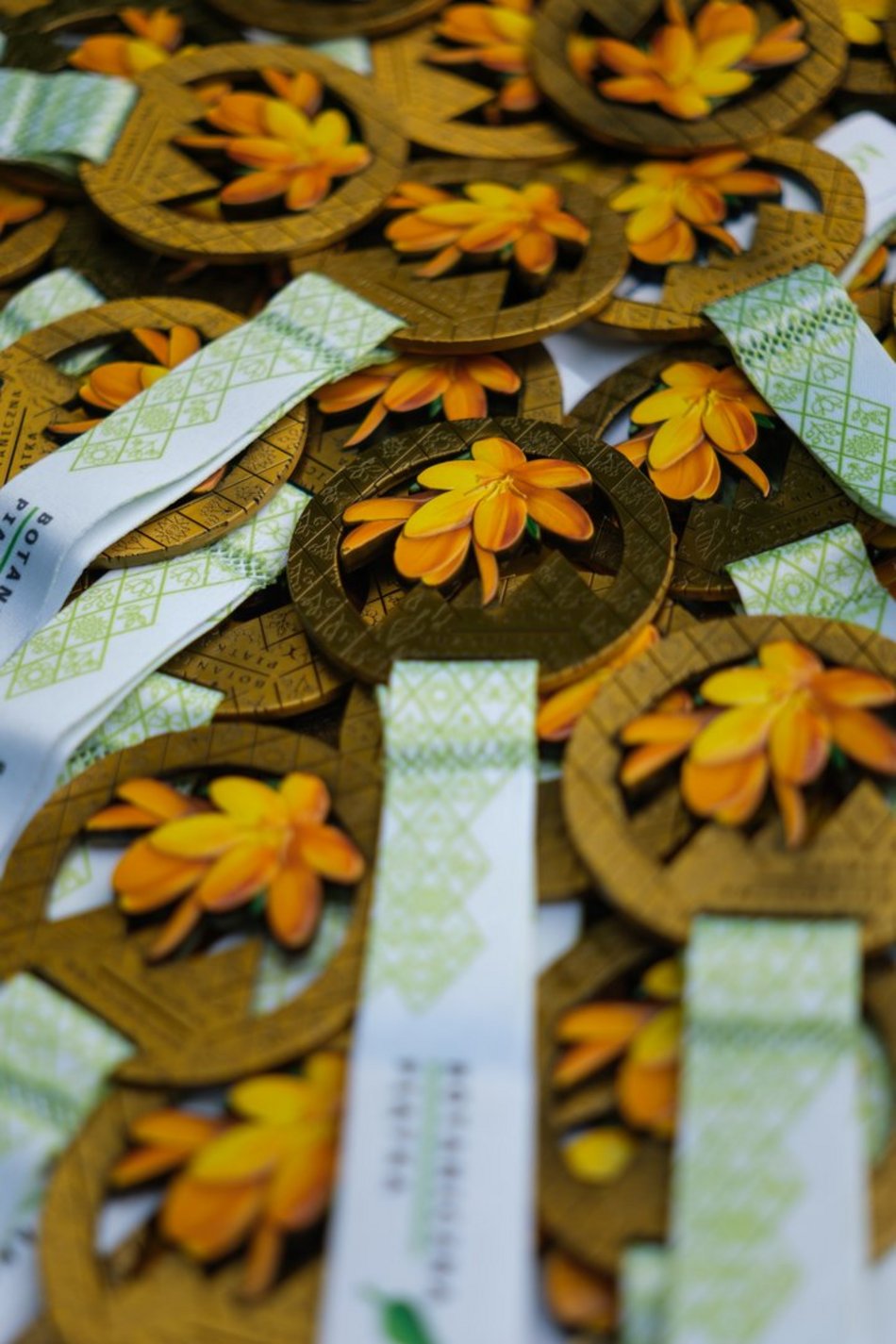Łódź. Botaniczna Piątka w Ogrodzie Botanicznym w Łodzi. Uśmiech Łodzian i biegowe emocje