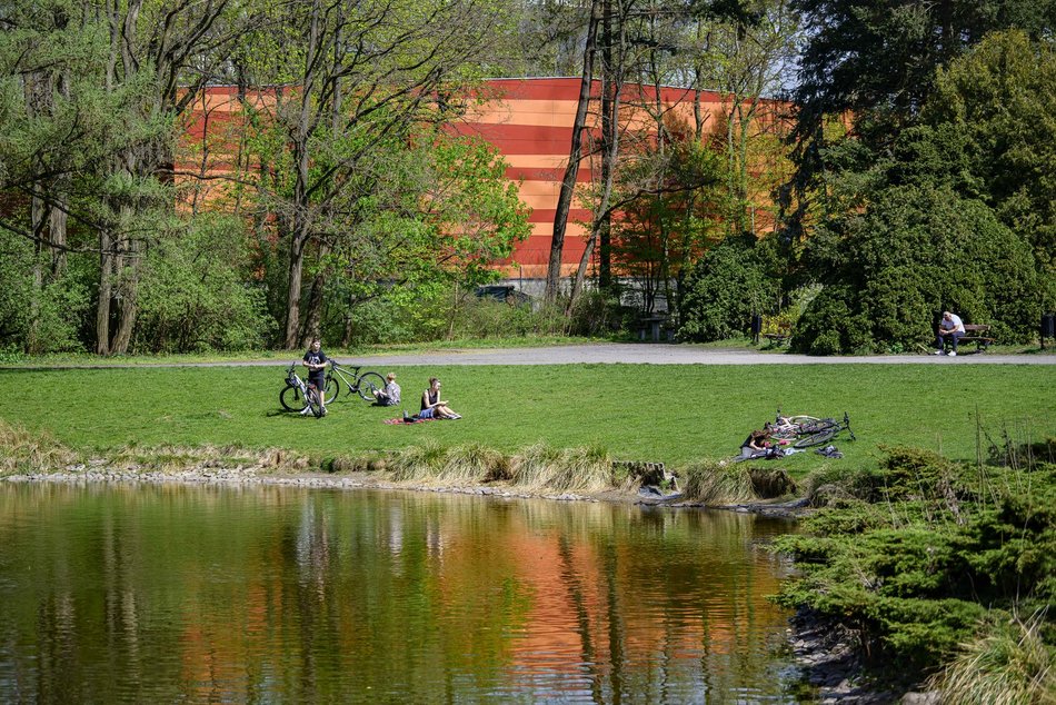 Park Poniatowskiego w Łodzi zachwyca soczystą zielenią. Zdecydujesz się na spacer?