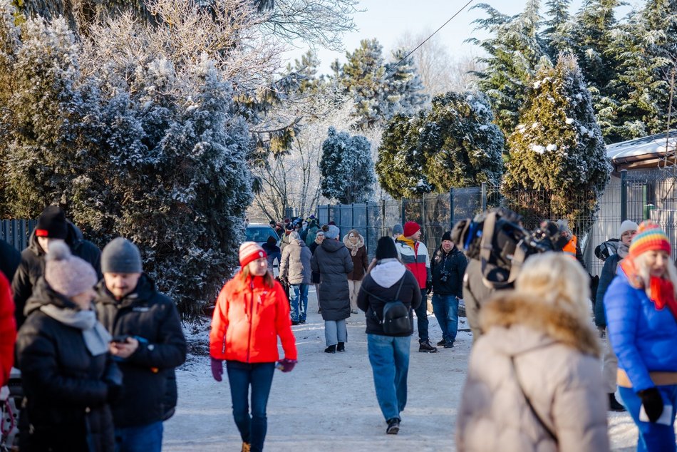 Łódź. Psy ze schroniska w Łodzi na spacerze