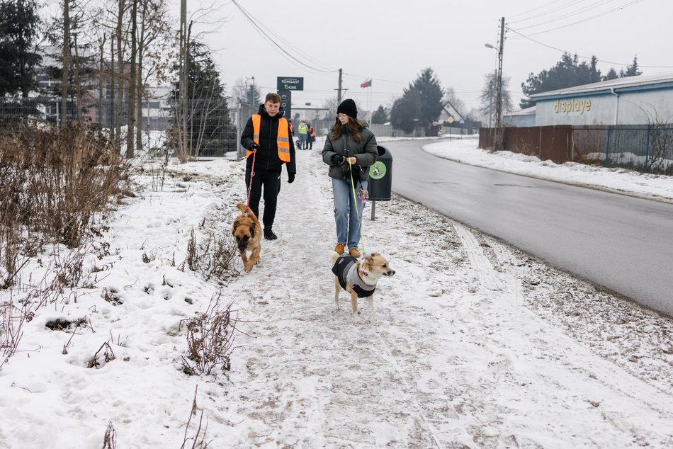 Łódź. Psy ze schroniska w Łodzi znów na spacerze! Dla tych wesołych pyszczków aż chce się chodzić!