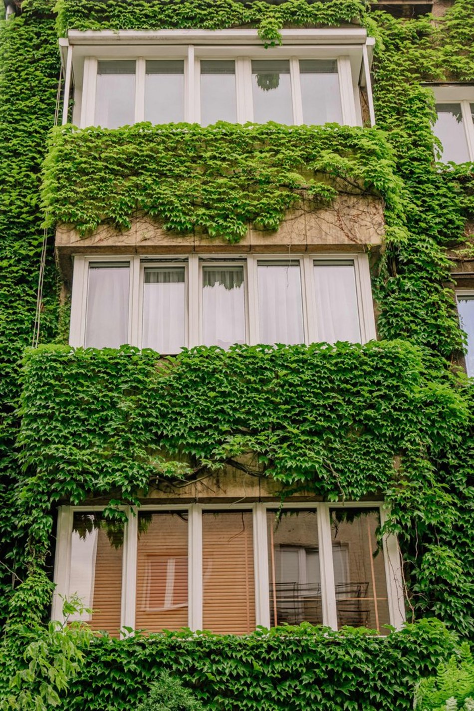 Łódź. To najbardziej zielona kamienica w Łodzi. Ten widok zapiera dech!