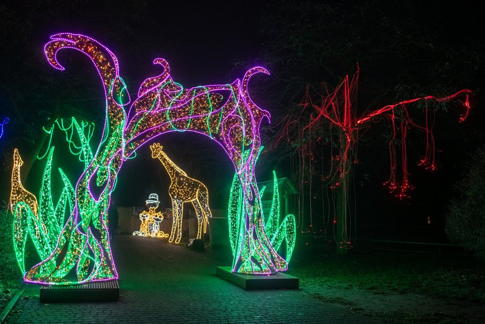 Park Miliona Świateł w Orientarium Zoo Łódź