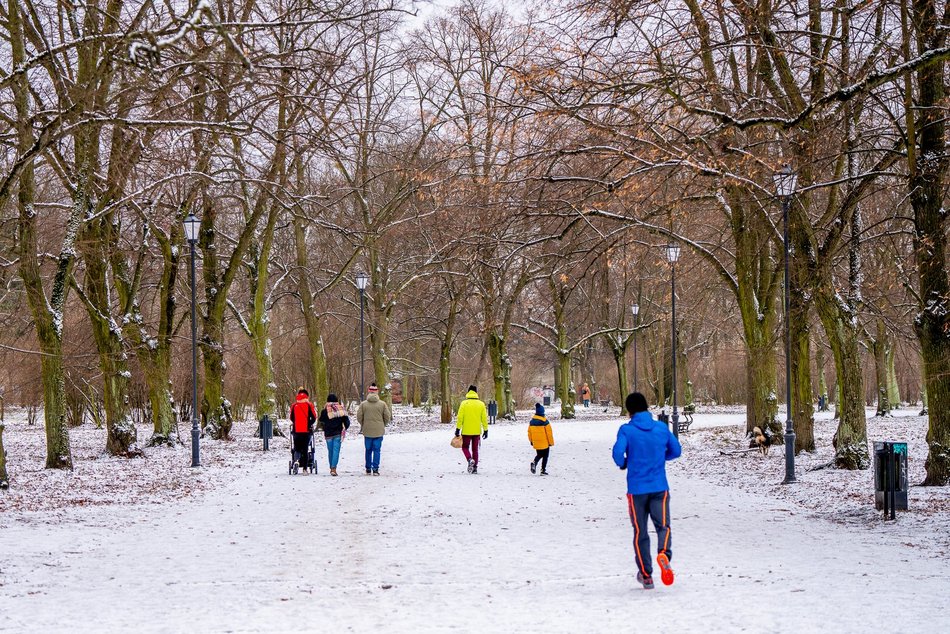 Park Poniatowskiego w zimowej szacie