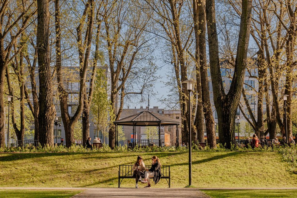 Park Staromiejski w Łodzi - wiosna, zieleń