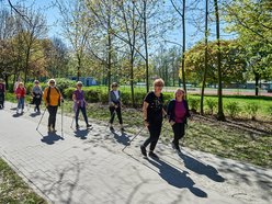 seniorzy ćwiczą z kijkami nordic walking