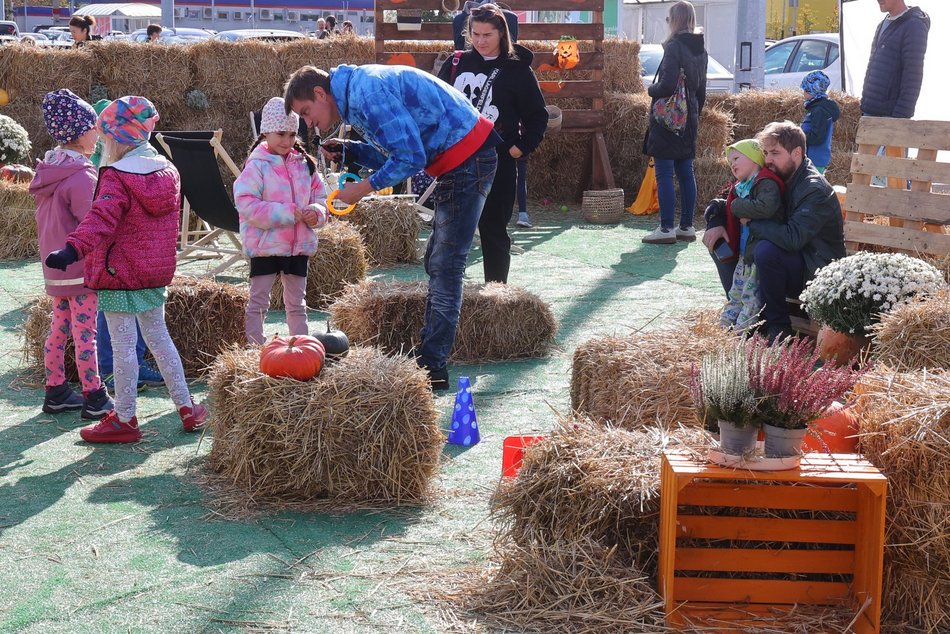 Farma Dyniowa w Pasażu Łódzkim