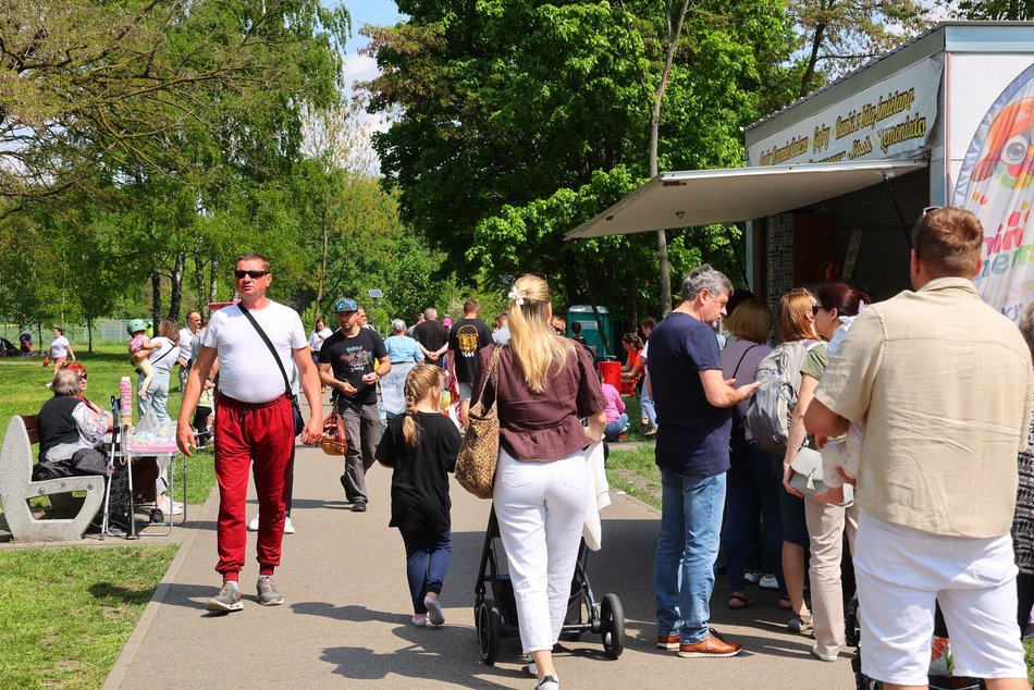 Łódź. Piknik na Młynku w Łodzi. Dmuchańce, alpaki, gigantyczne kręgle i rowery wodne