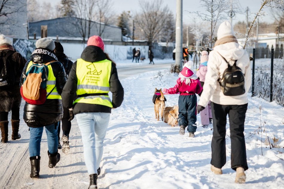 Łódź. Psy ze schroniska w Łodzi na spacerze