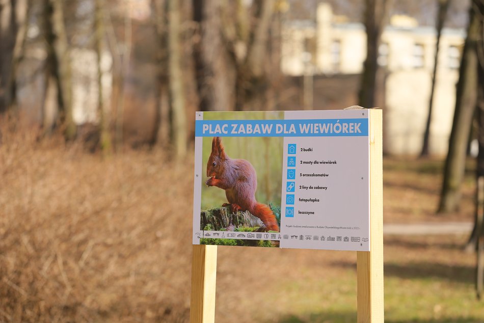 Plac zabaw dla wiewiórek w Łodzi