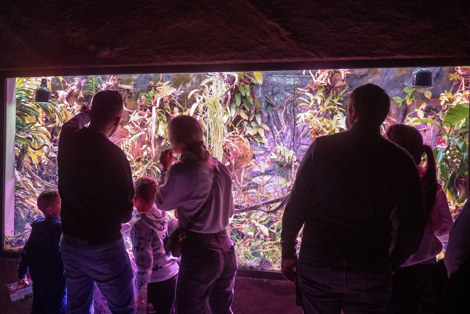 Łódź. Wielkanocny zając w Orientarium Zoo Łódź