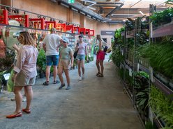 Łódź. Zielona Feta w Orientarium Zoo Łódź. Moc atrakcji na długi weekend