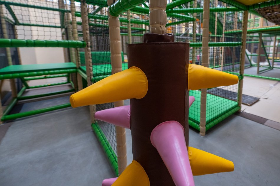 Łódź. Figloraj w Orientarium Zoo Łódź coraz bliżej otwarcia!