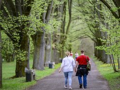Łódź. Jak ma się rozwijać Ogród Botaniczny w Łodzi? Poznaj harmonogram konsultacji