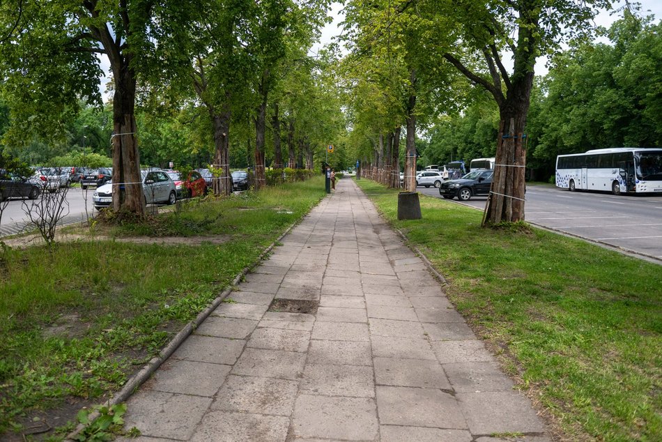 Łódź. Nowa droga rowerowa przy Unii Lubelskiej w Łodzi. Start prac już w wakacje!