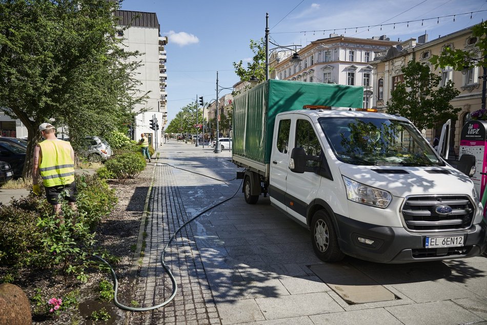 Łódź. Walka z suszą w Łodzi. Miasto intensywnie podlewa młodą zieleń