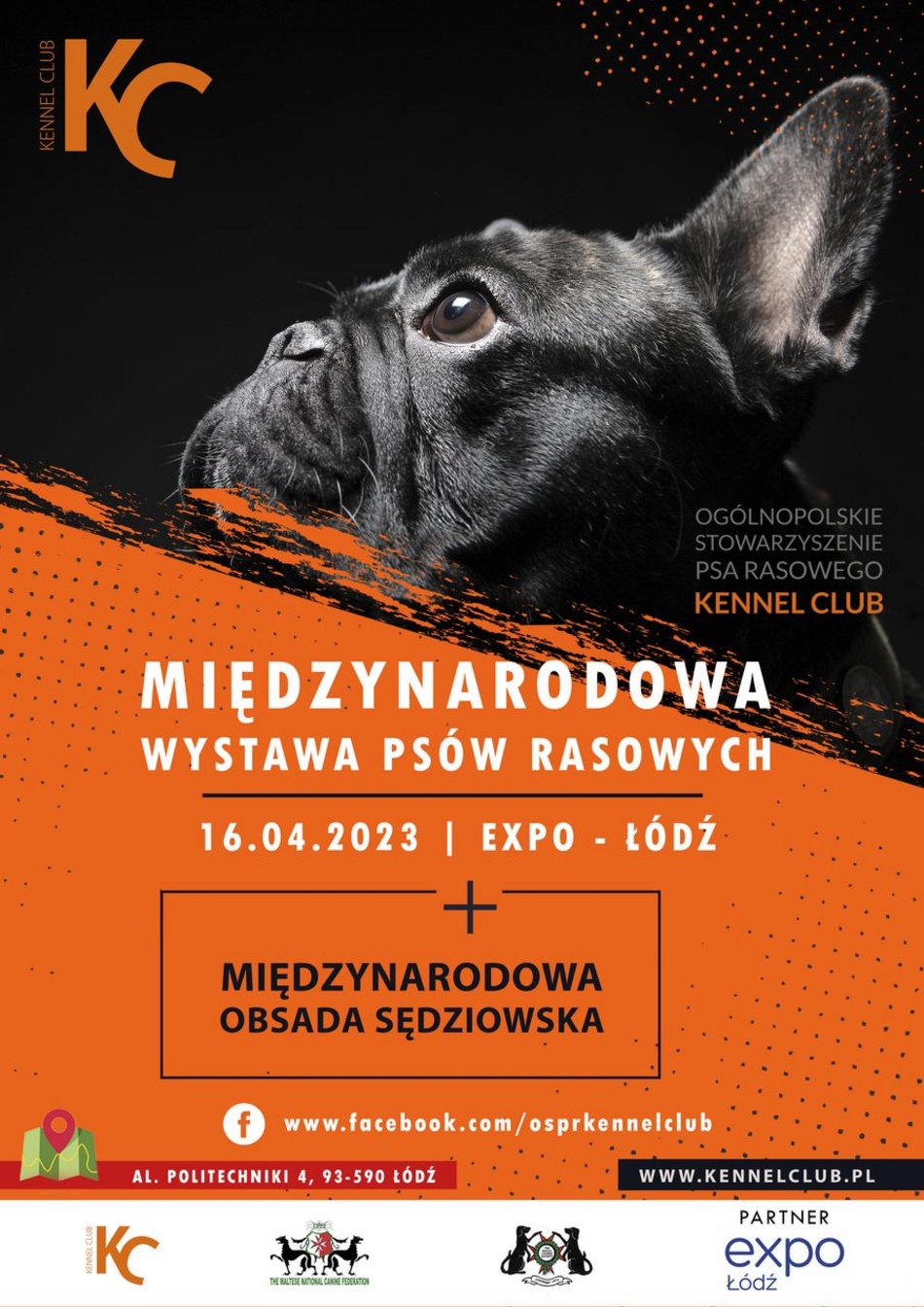 Międzynarodowa Wystawa Psów Rasowych w Łodzi.