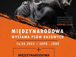 Międzynarodowa Wystawa Psów Rasowych w Łodzi.