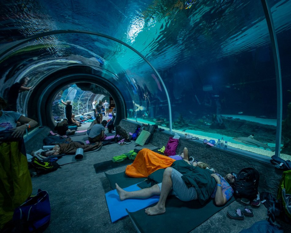 601. Urodziny Łodzi w Orientarium Zoo Łódź