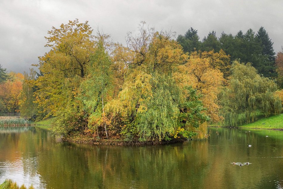 Łódź. Jesienne kadry z parków