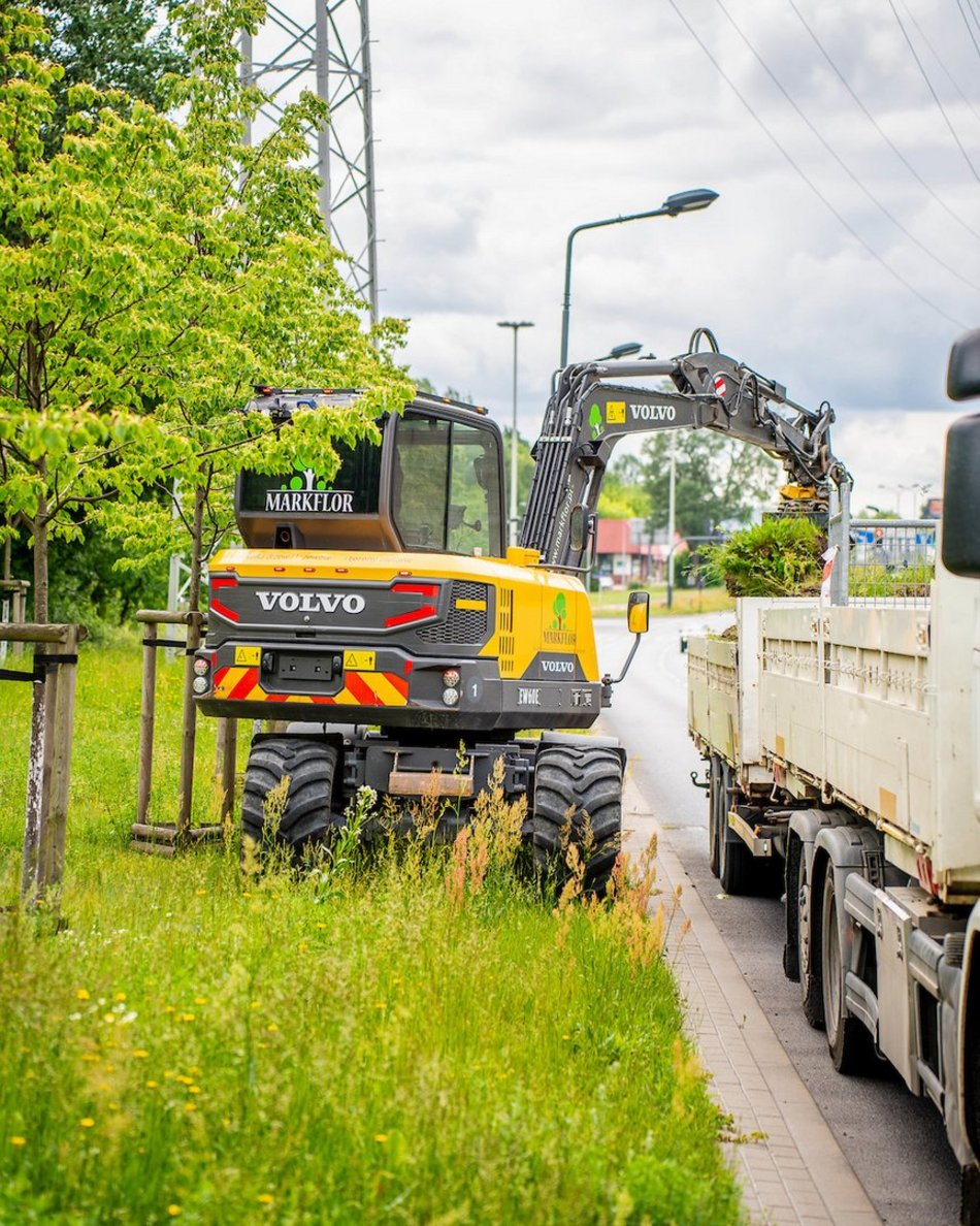 Łódź. Budżet Obywatelski Łódź 2025. Więcej zieleni przy Włókniarzy Łodzi