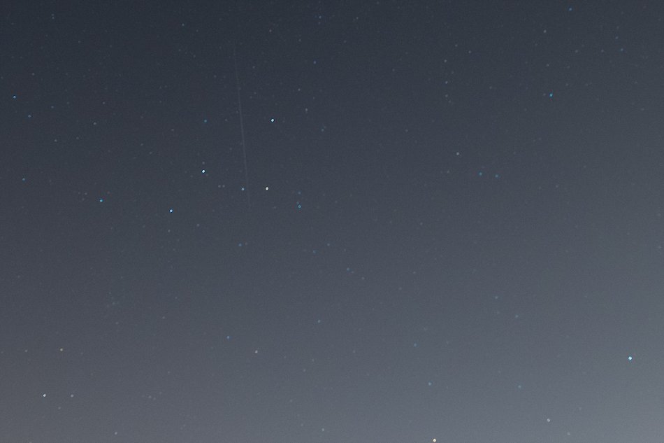 Łódź. Co to był za wieczór! Noc spadających gwiazd w Ogrodzie Botanicznym w Łodzi