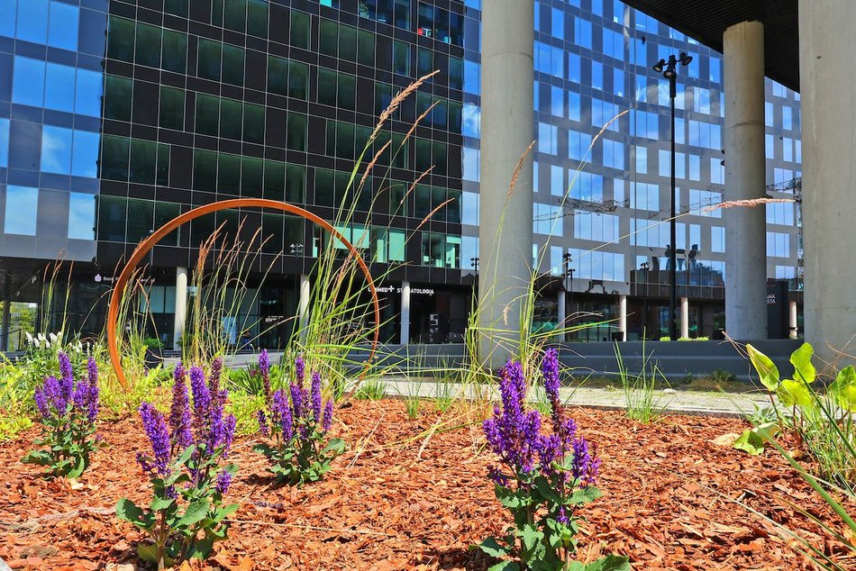 Łódź. Zieleń przy Bramie Miasta w Łodzi. Chwila oddechu w samym centrum