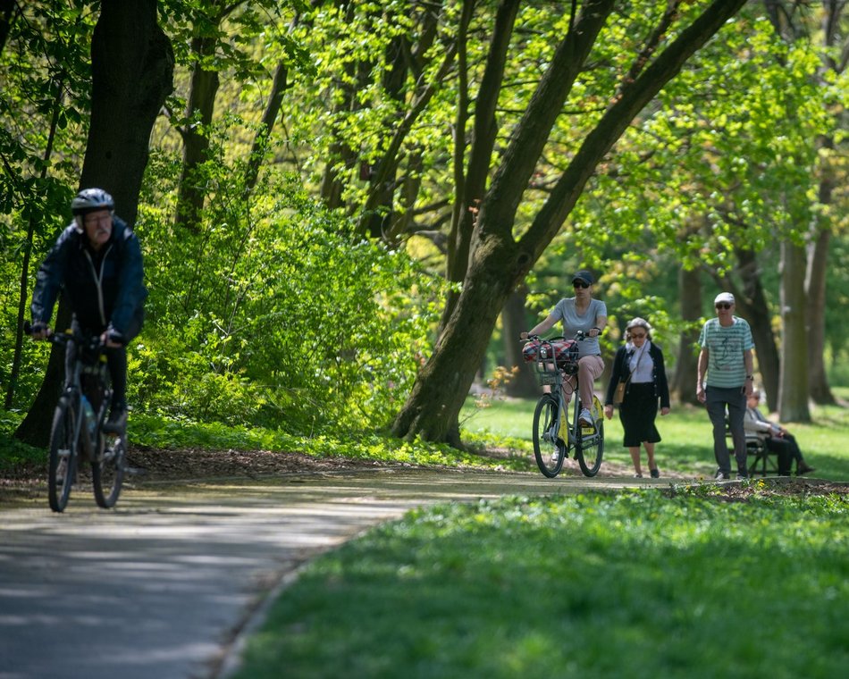 Łódź. Zieleń przyjazna alergikom! Miejsca idealne na spacer bez obaw o alergeny