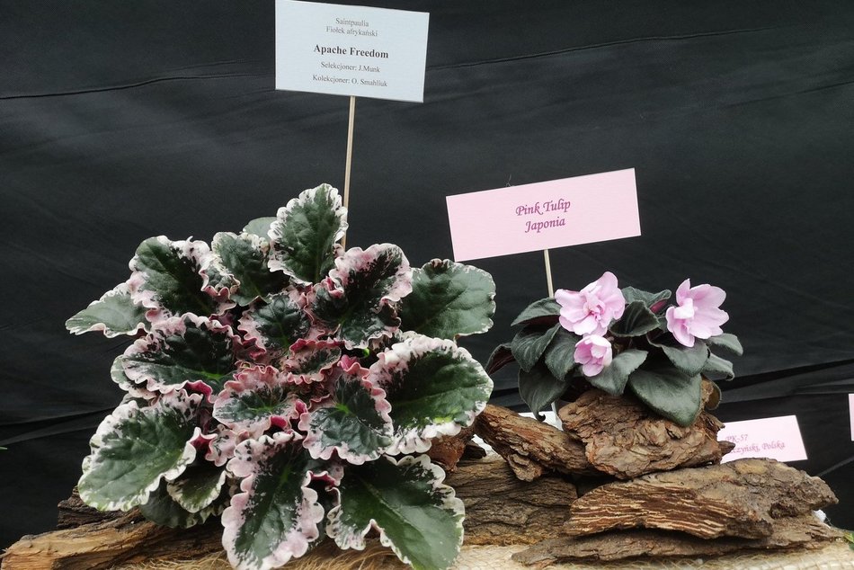 Wydarzenia w weekend w Łodzi