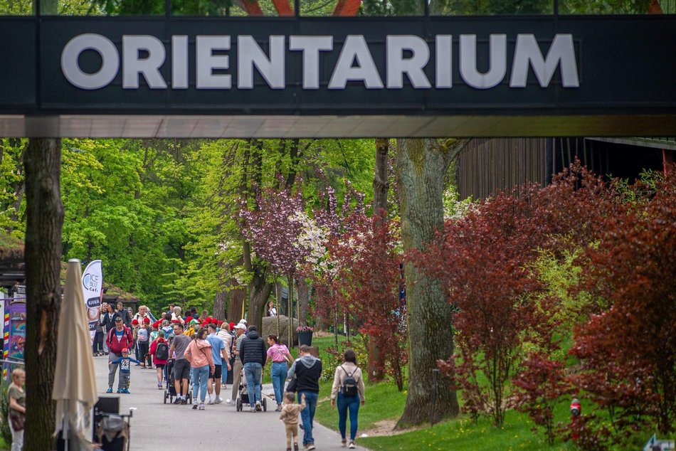 Łódź. Kwiecień w Orientarium Zoo Łódź. Nowe godziny otwarcia, darmowe zwiedzanie i więcej