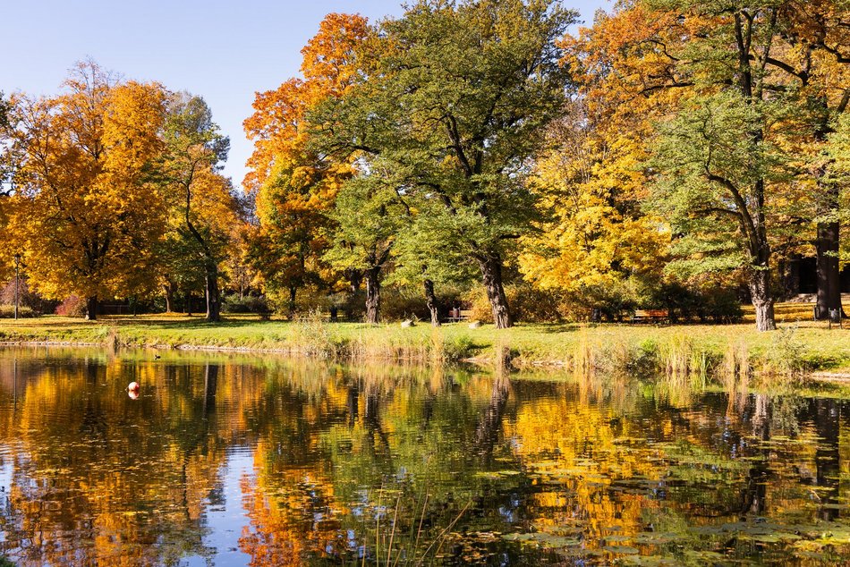 Łódź. Park Helenów w Łodzi w jesiennej odsłonie. Spacer w tym miejscu to czysta przyjemność