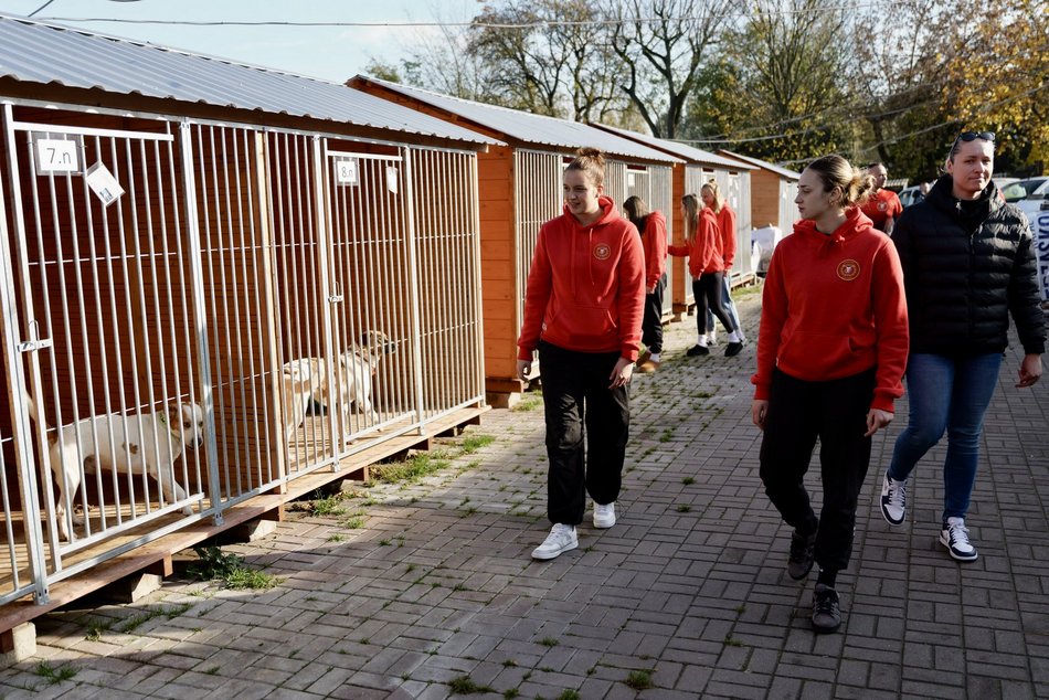 Łódź. Sportowcy na rzecz schroniska w Łodzi. Paleta pełna karmy i wyprawek dla zwierzaków!
