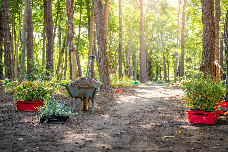 Łódź. Rewitalizacja skweru przy ul. Zuchów