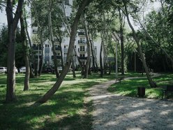 Łódź. Zielony zakątek na Radogoszczu w Łodzi. Odnowione chodniki, nowe alejki, ławki, kosze i latarnie