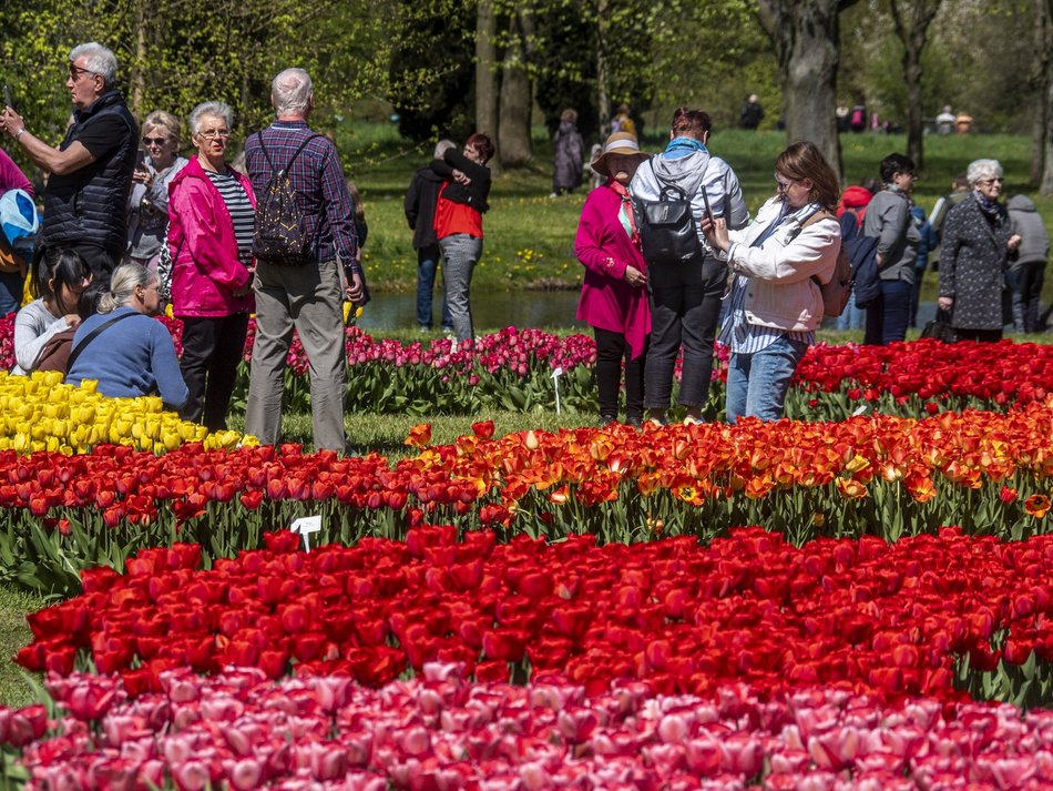 Ogród Botaniczny w Łodzi. Łodzianie na wyjątkowych zdjęciach z okazji 600. Urodzin! [ZDJĘCIA]