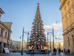 Łódź. Choinka na Piotrkowskiej prawie gotowa