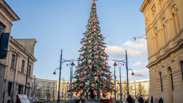 Choinka na Piotrkowskiej w Łodzi prawie gotowa! Czuć już klimat Świąt [ZDJĘCIA] 