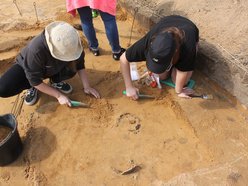 Łódź. Wykopaliska sprzed 3 tysięcy lat! Archeolodzy z Uniwersytetu Łódzkiego odkryli prawdziwe skarby