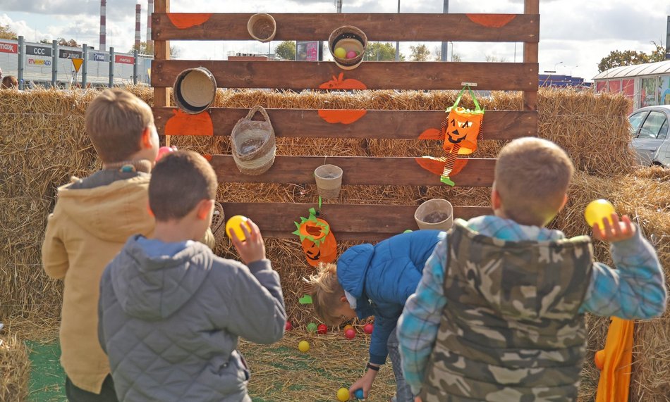 Farma Dyniowa w Pasażu Łódzkim