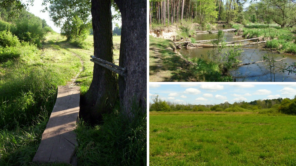 Łódź. Parki Krajobrazowe w Łódzkiem. Czy wiedziałeś, że jest ich aż 7?