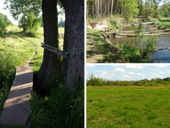 Łódź. Parki Krajobrazowe w Łódzkiem. Czy wiedziałeś, że jest ich aż 7?