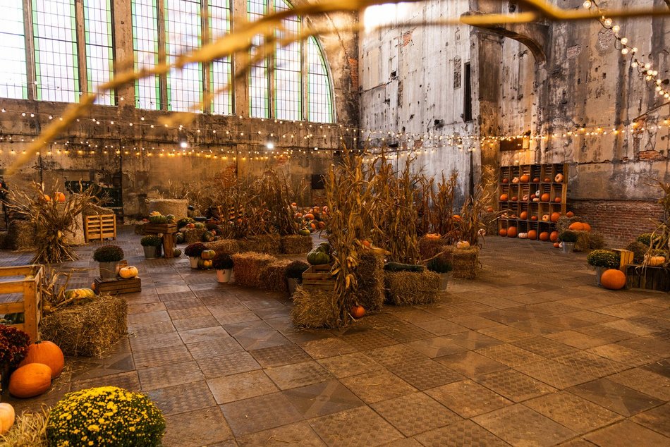 Łódź. Farma Dyń w Fuzji Łódź. Pozycja obowiązkowa na jesienną sesję fotograficzną! [ZDJĘCIA]