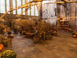 Łódź. Farma Dyń w Fuzji Łódź. Pozycja obowiązkowa na jesienną sesję fotograficzną! [ZDJĘCIA]