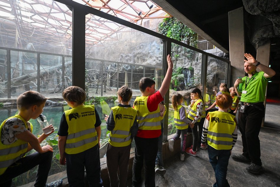 Łódź. Ferie zimowe 2026 w Orientarium Zoo Łódź