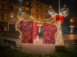 Świąteczna iluminacja na Kozinach w Łodzi