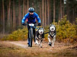 Łódź. Bieganie ma we krwi, a husky w sercu. Poznaj historię Bartłomieja Sobeckiego z Łodzi