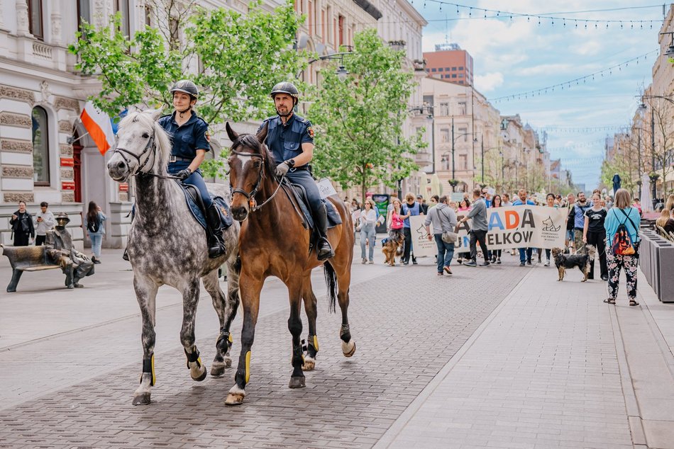 Łódź. Parada Kundelków na Piotrkowskiej