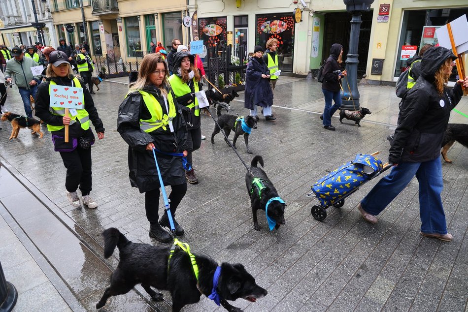 Parada kundelków w Łodzi 2025 przeszła ulicami. Skala słodyczy wysoka jak nigdy!