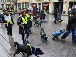 Parada kundelków w Łodzi 2025 przeszła ulicami. Skala słodyczy wysoka jak nigdy!