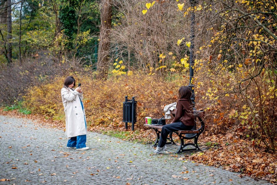 Łódź. Jesień w parku Źródliska